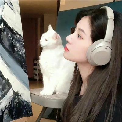 保佑哈特第二季